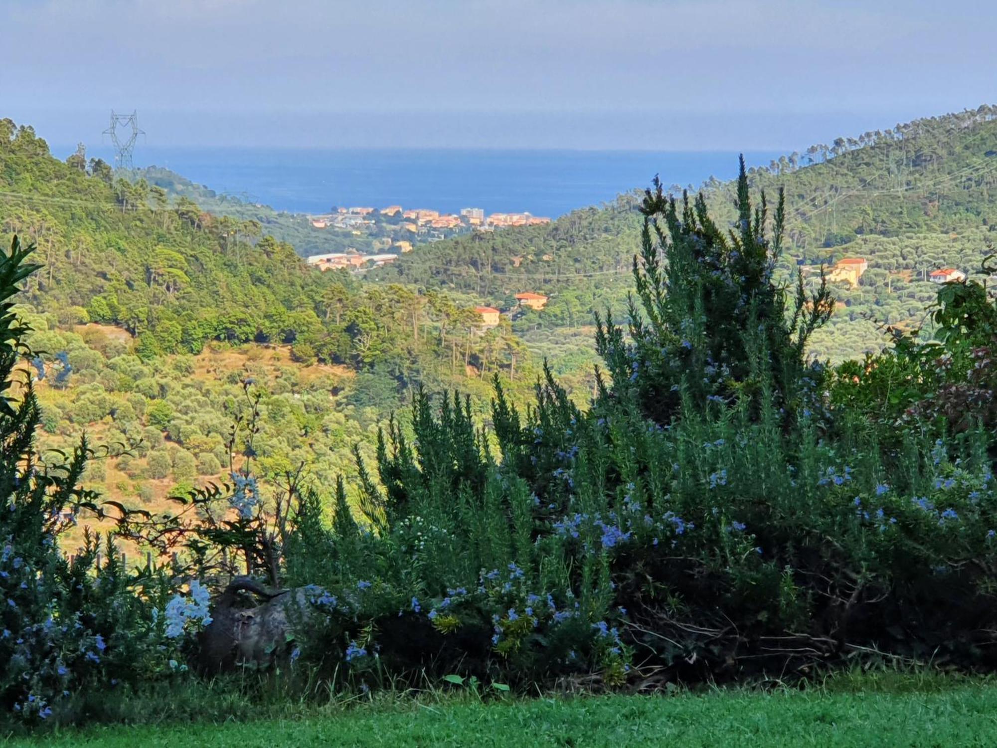 Villa Claudia Quiliano Buitenkant foto