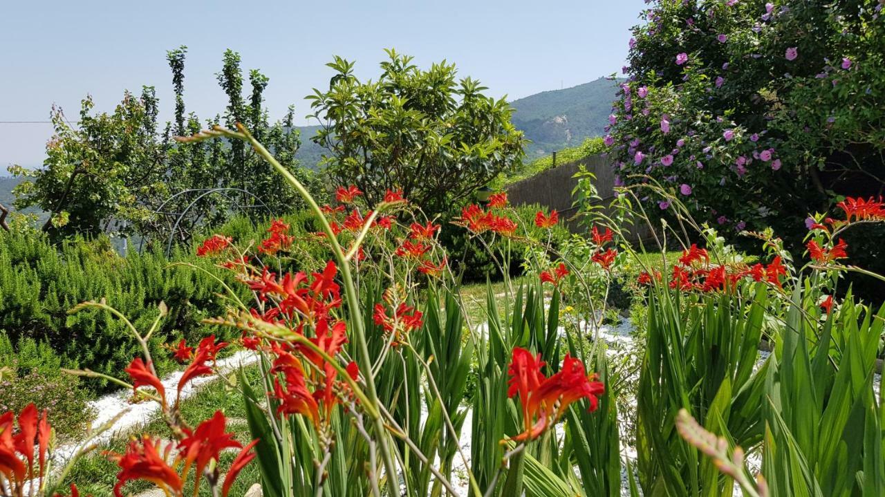 Villa Claudia Quiliano Buitenkant foto